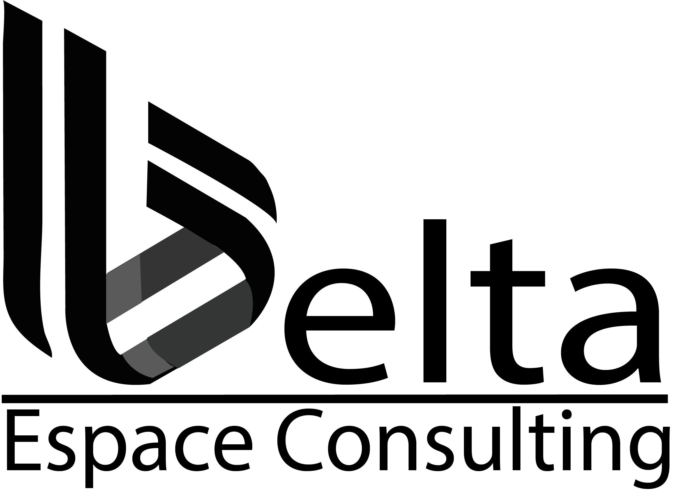Delta Espace Consulting
